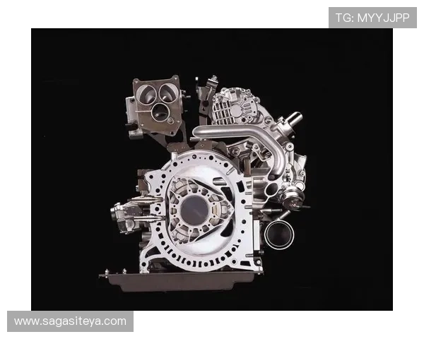 欧博abg手机版会员登录常见问题及解决方法详细解析让新手玩家快速上手